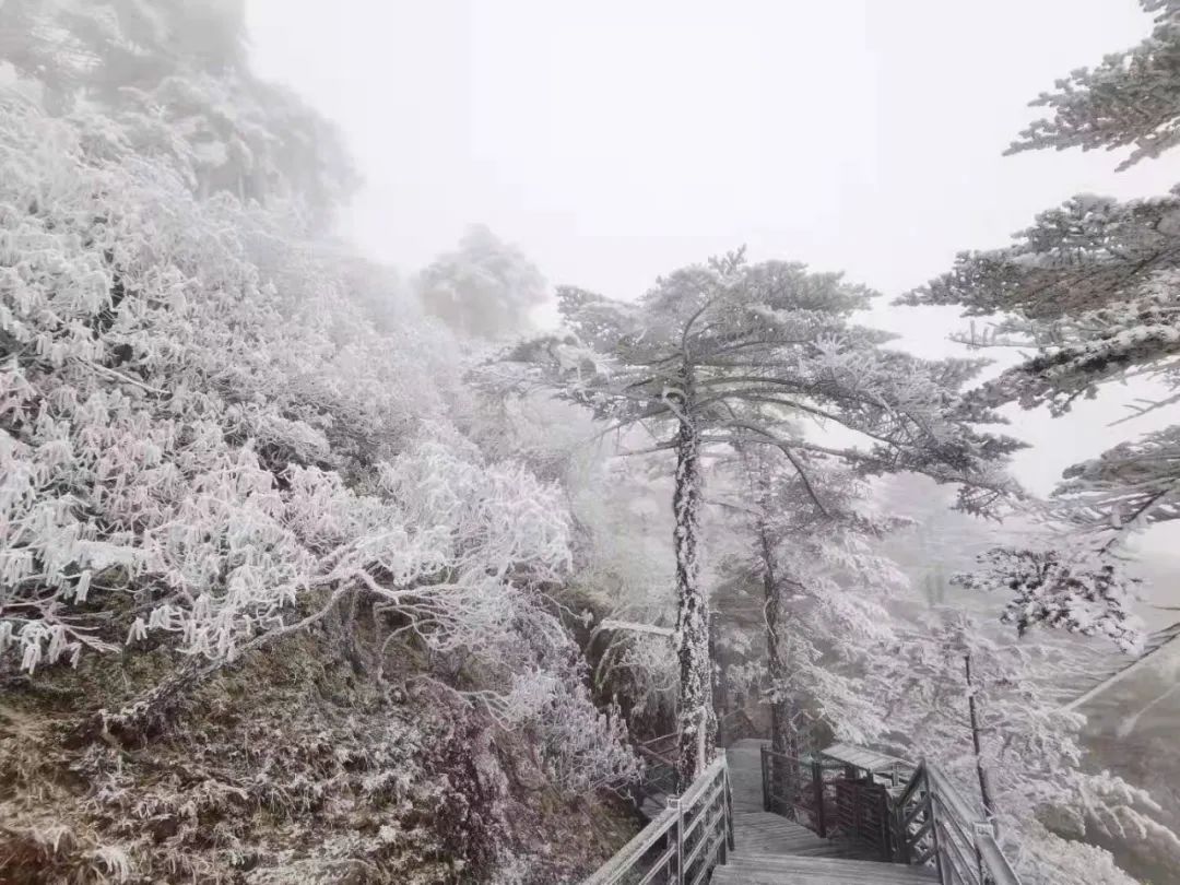 大寒潮小寒潮,寒潮带来大范围降雪