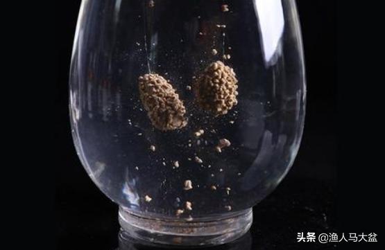 黑坑碰到水肥和水瘦的情况我们如何垂钓?水肥和水瘦又该如何分辨?