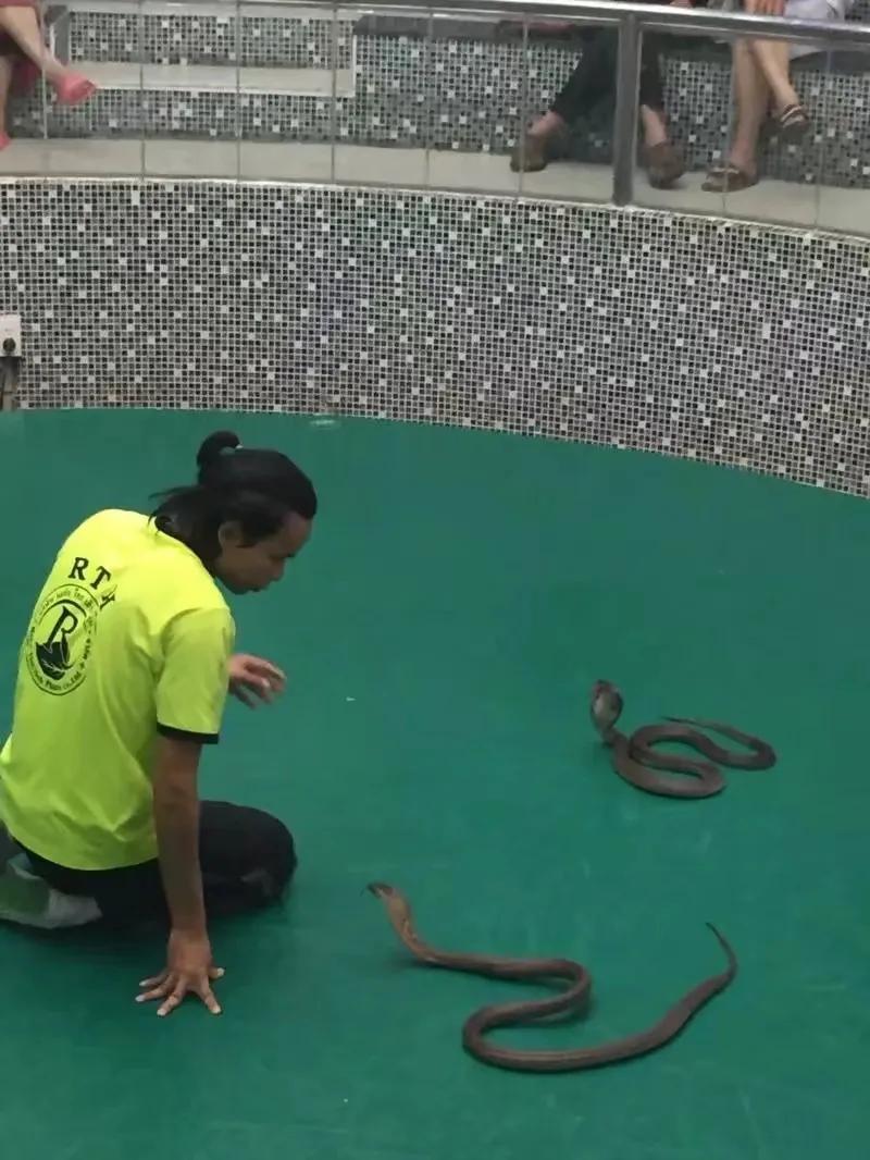 来普吉岛后感觉好难受,普吉岛最后一天购物