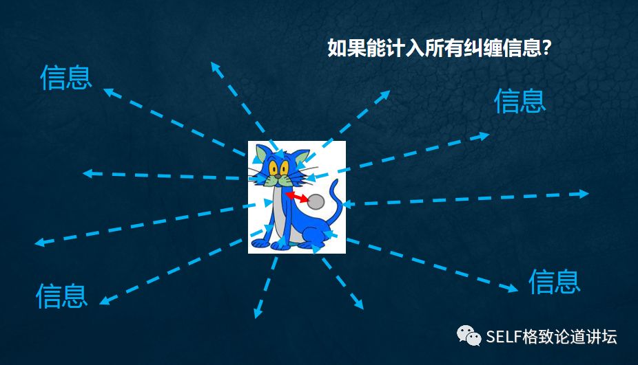 量子物理谜团薛定谔的猫已被破解 (量子计算机是否验证了薛定谔的猫)