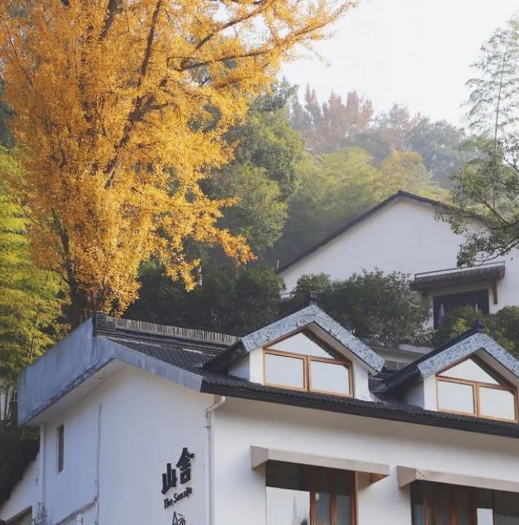 遇间播报|秋风拂杭州，阵阵桂香，满觉陇寻闲适，竟在山舍