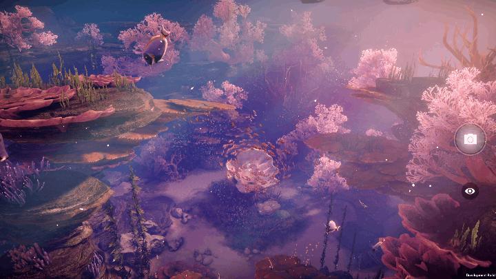 天谕手游望星台,天谕手游夜煞神耀