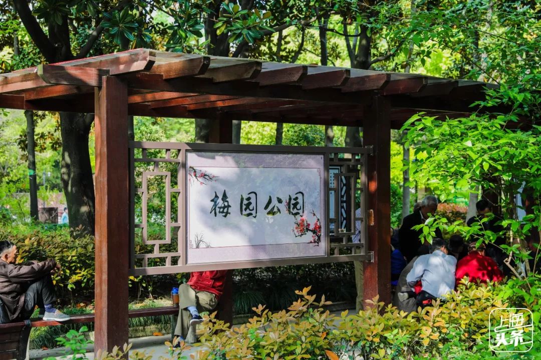 生日当天上海免费景点,上海网红打卡地点景点免费