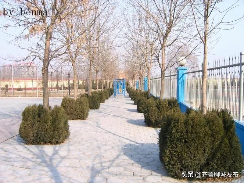 聊城二中历史,十年印象阿布