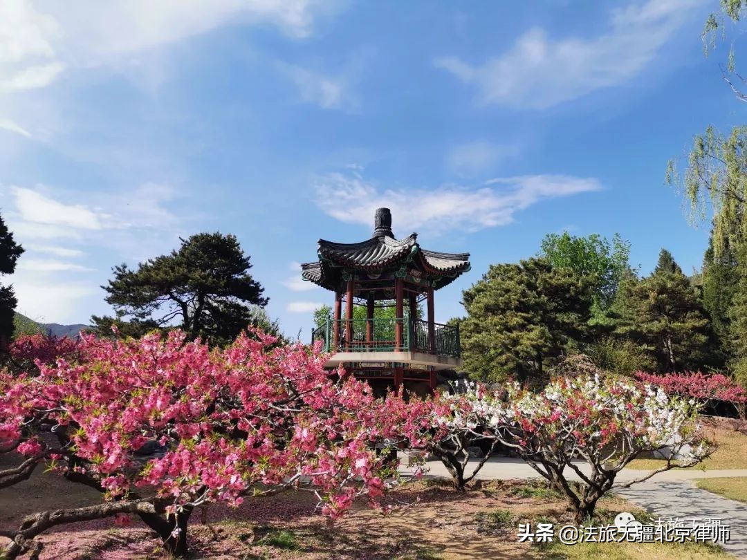 员工放弃社保将向单位追责,员工放弃社保还可以被迫离职吗
