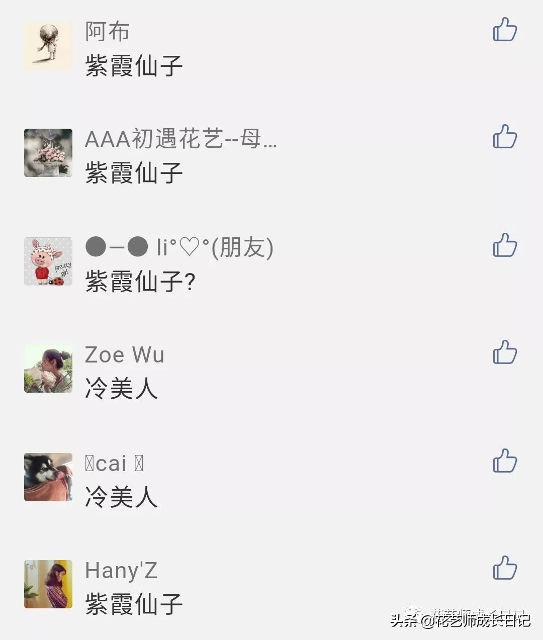 送给妈妈的手工花康乃馨,母亲节送妈妈什么颜色康乃馨