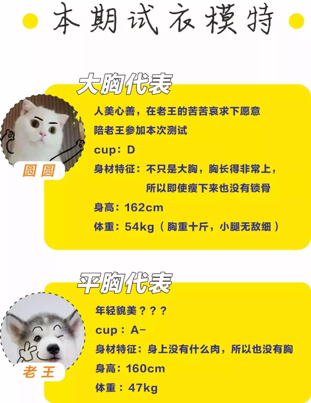 真人试衣间丨大胸小胸穿同一件T恤差别竟然这么大？！