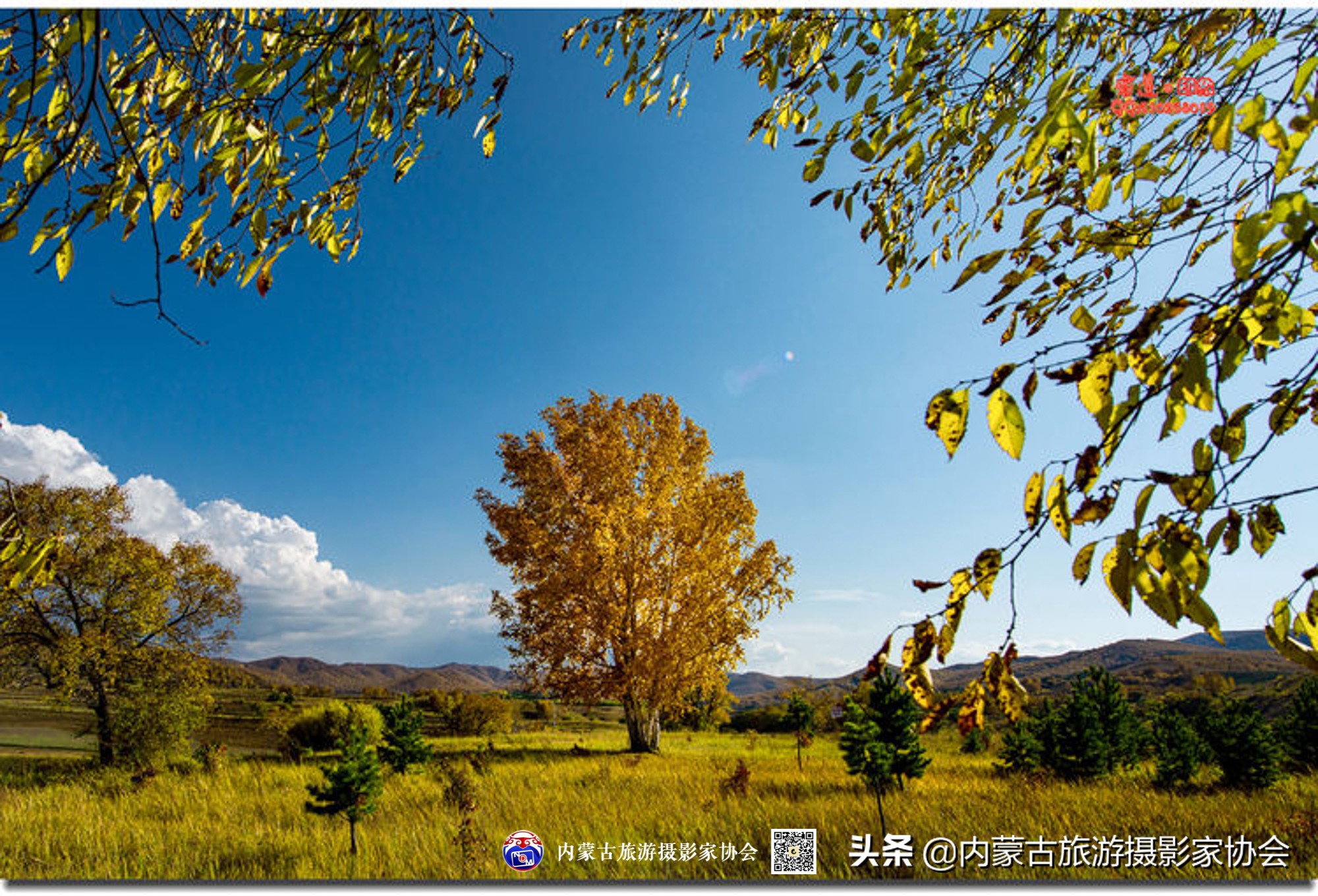 那山那水那味道,那山那水那份爱