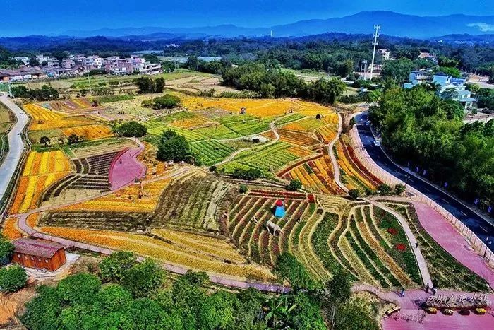 广州隐藏着一个碉楼村,广州有哪些隐藏的景点