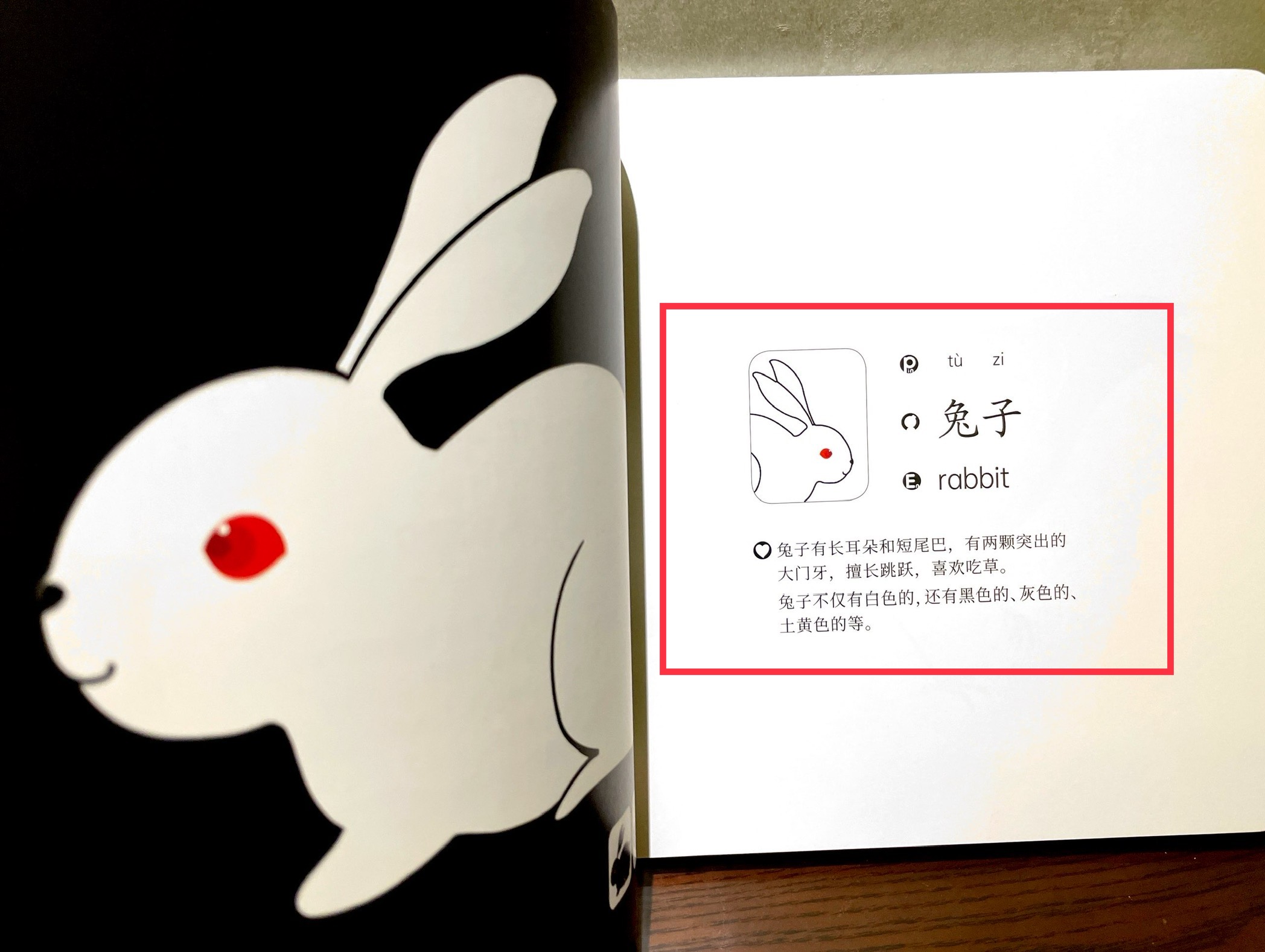 犹太人的聪颖和教育方法,犹太人的早教