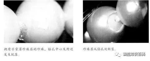 影响珍珠品质和价值的6大因素，你知道吗？
