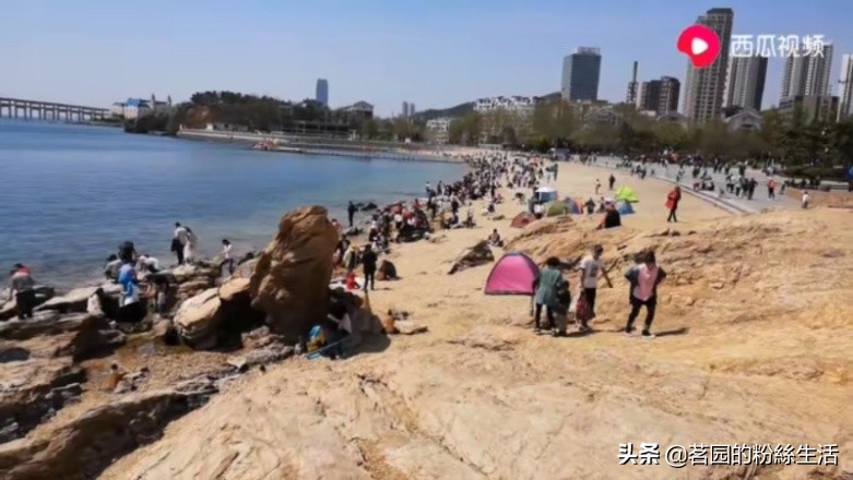 大连202路有轨电车星海公园,大连海事大学海景食堂