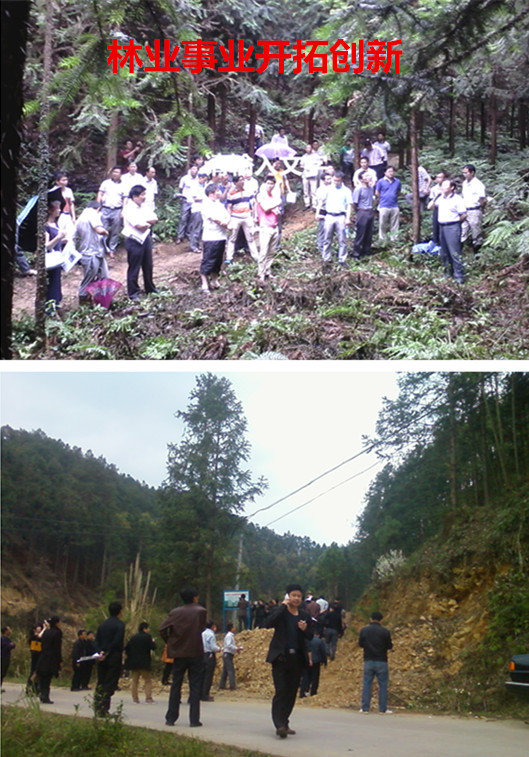 林业礼赞——世界最后一滴水将是人类的眼泪吗