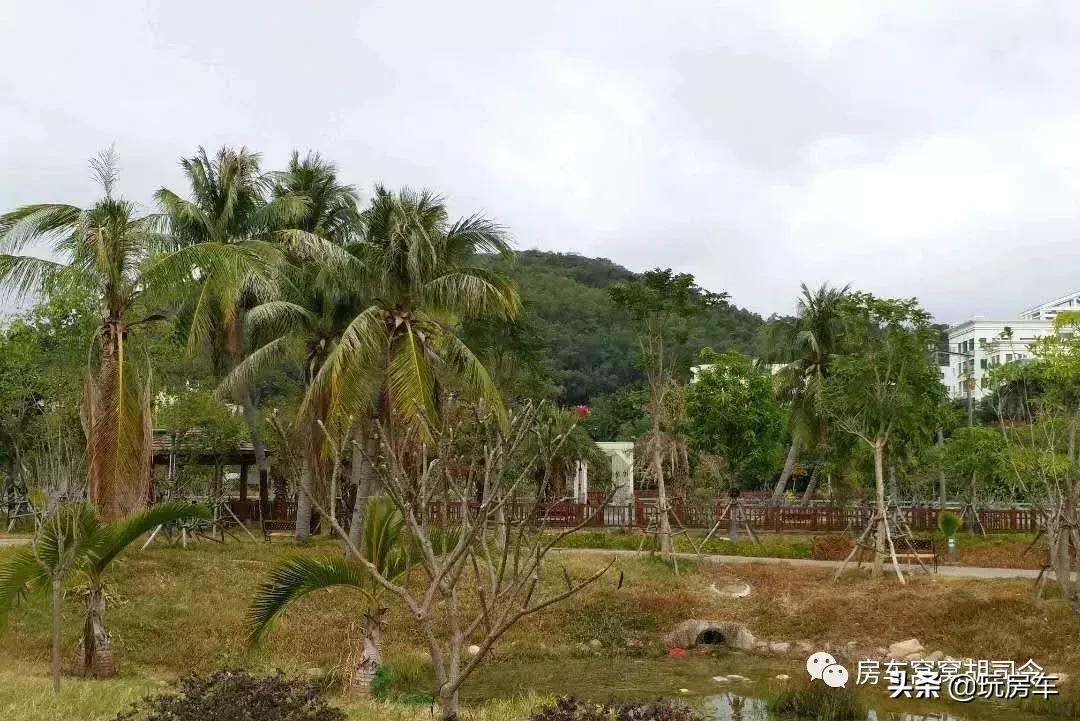 海南那么大，房车到底停哪里？纯干货分享海南三亚的窝窝