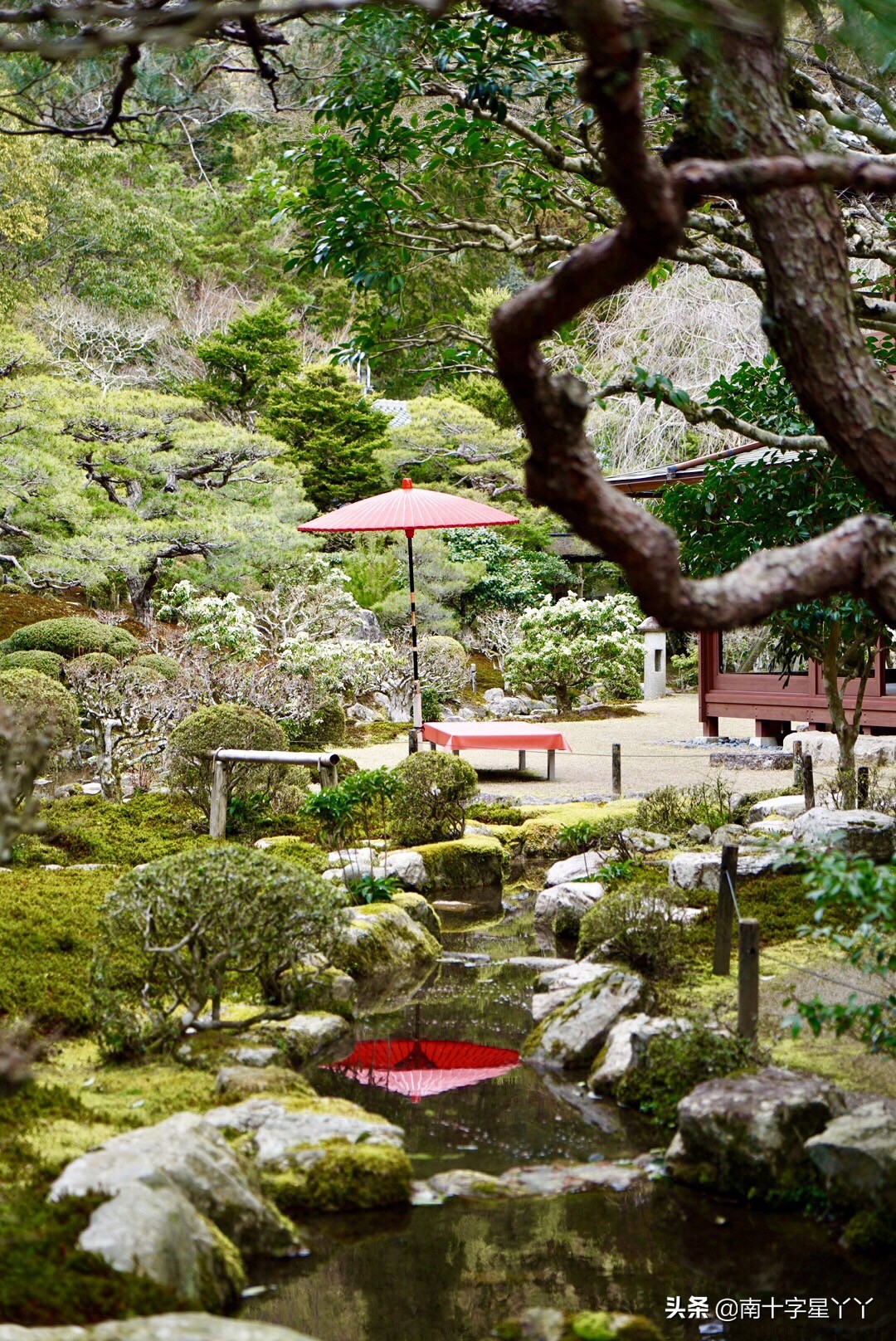 这个樱花季，造访SKII神仙水的水源地