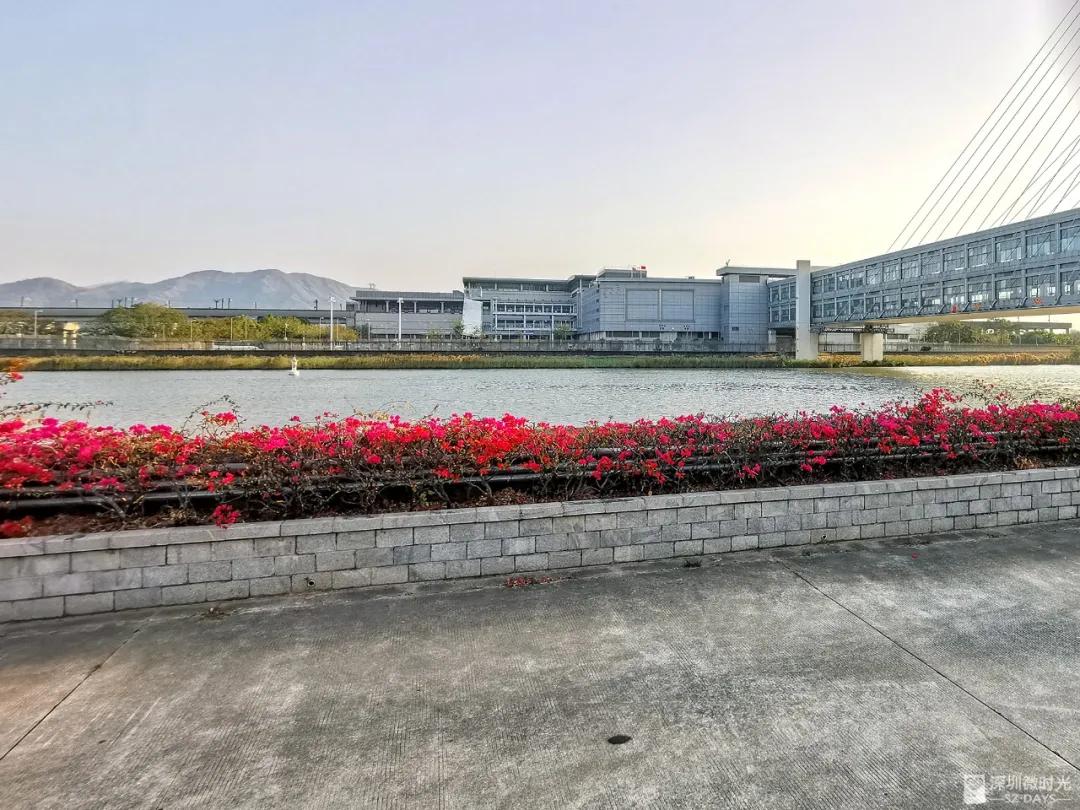 现在大家对香港的印象,香港人对香港的印象