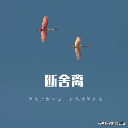 想在异国他乡留学,想国外打工