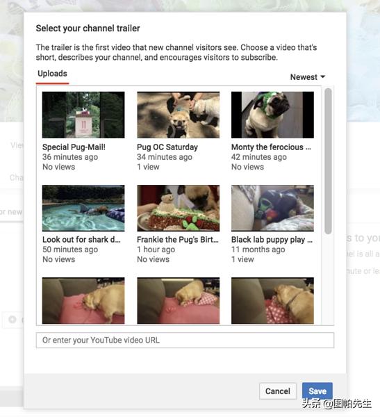 从零开始做youtube,如何从0到1打造视频号