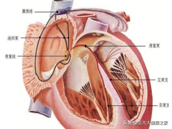反流性食管炎患者倍他乐克禁用吗,倍他乐克最适合3类人