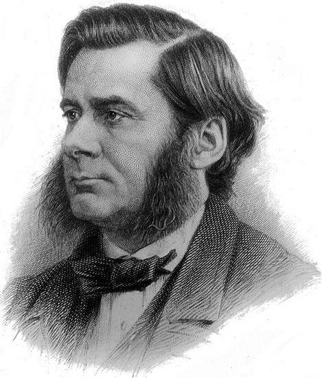 进化论不吹不黑,聊人类进化论啥意思