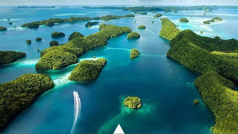 中国护照迎来最强时刻手中的护照又又又升值了！