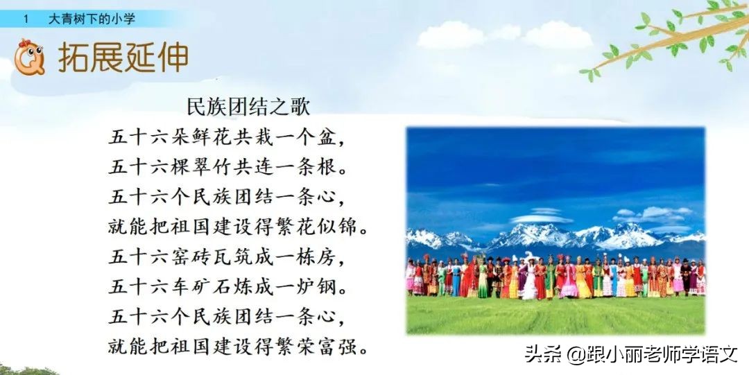 大青树下的小学重点知识点,大青树下的小学重点知识梳理
