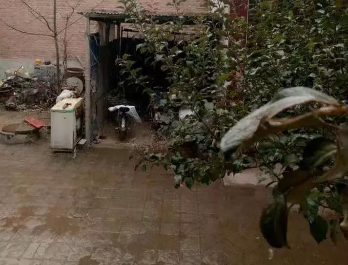 邯郸雪下哪里了,雪如约而至周末天气怎么样