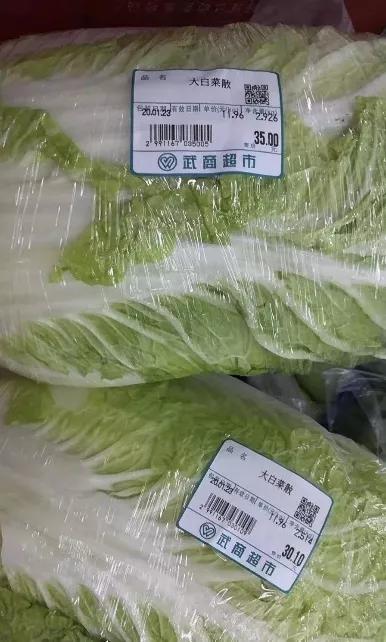 小引作者回忆了什么,诗人小引的武汉日记