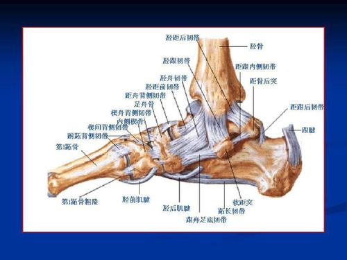 辟谣：踝关节扭伤是小病？看完最新治疗指南，你不这样想