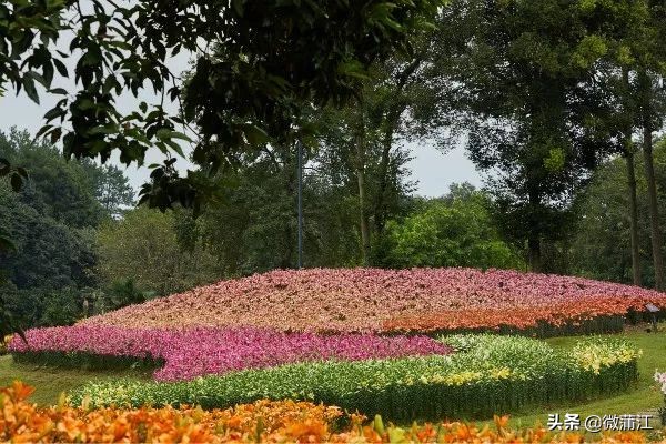 石象湖游览图片大全,石象湖自然风景