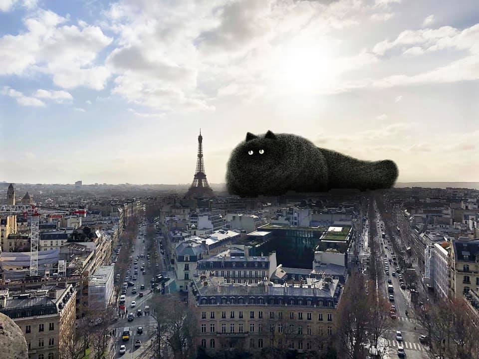 优衣库ut系列长吗,ut优衣库2023