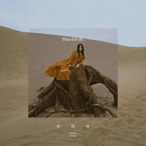 先声周报|​网易云在线音乐付费率13.3%，腾讯音乐进军NFT