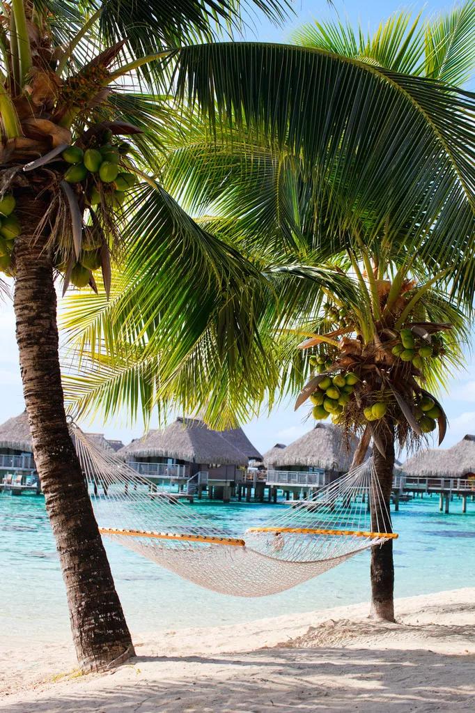 疫情期可以去旅行吗,疫情结束后我要出去好好的旅游