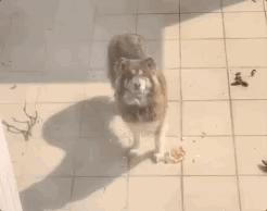 隔离的日子如同宅家,被隔离的日子真难熬吗