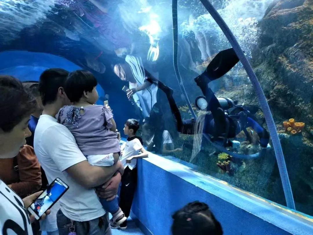 海底世界搬到自己家,海底世界聊城入园