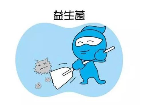 泰迪幼犬拉完便便蹭地板,幼犬泰迪便便是软还是硬