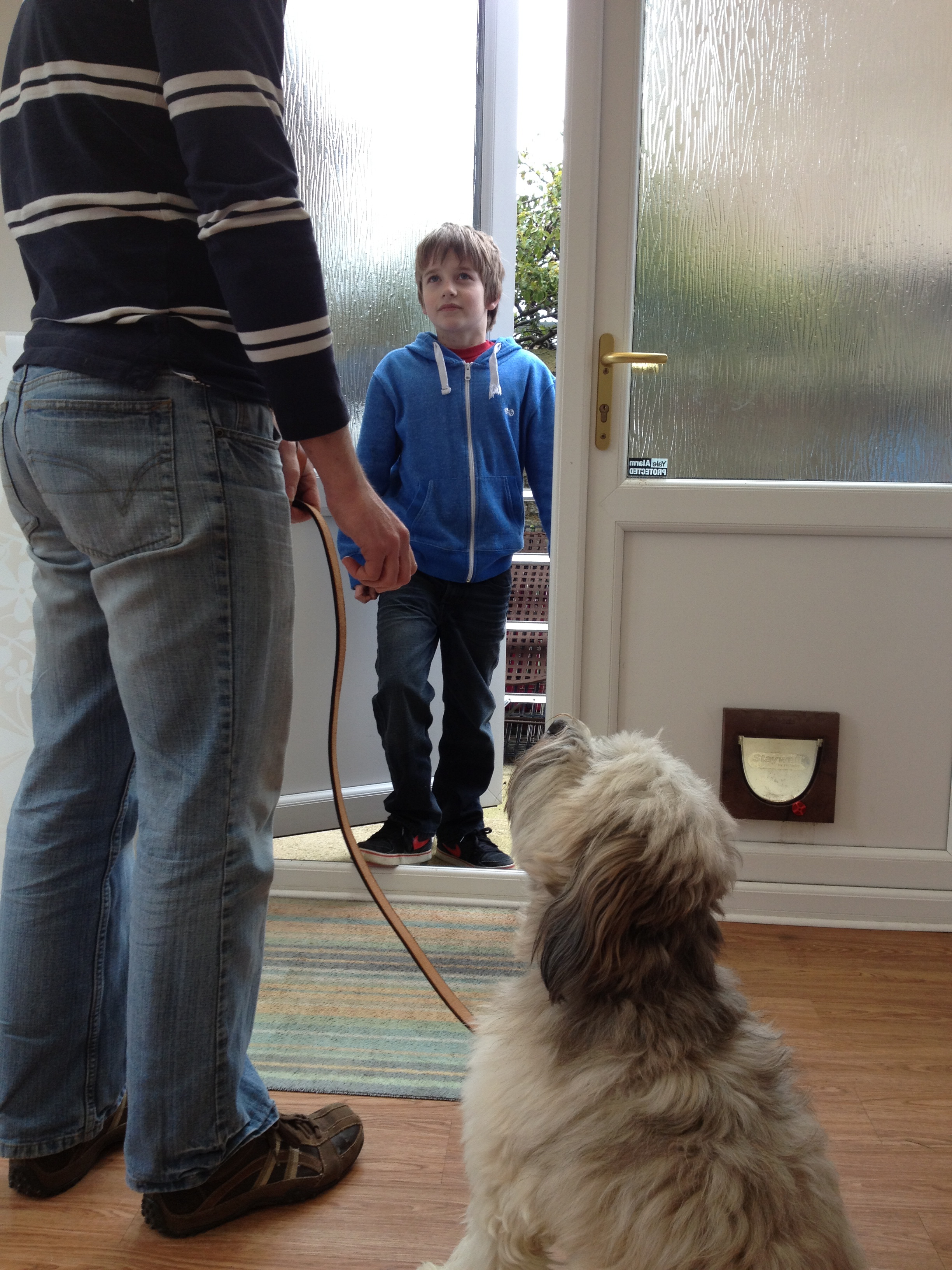 狗狗跟主人疯闹兴奋又扑又咬,狗狗不凶它它就不听话怎么办