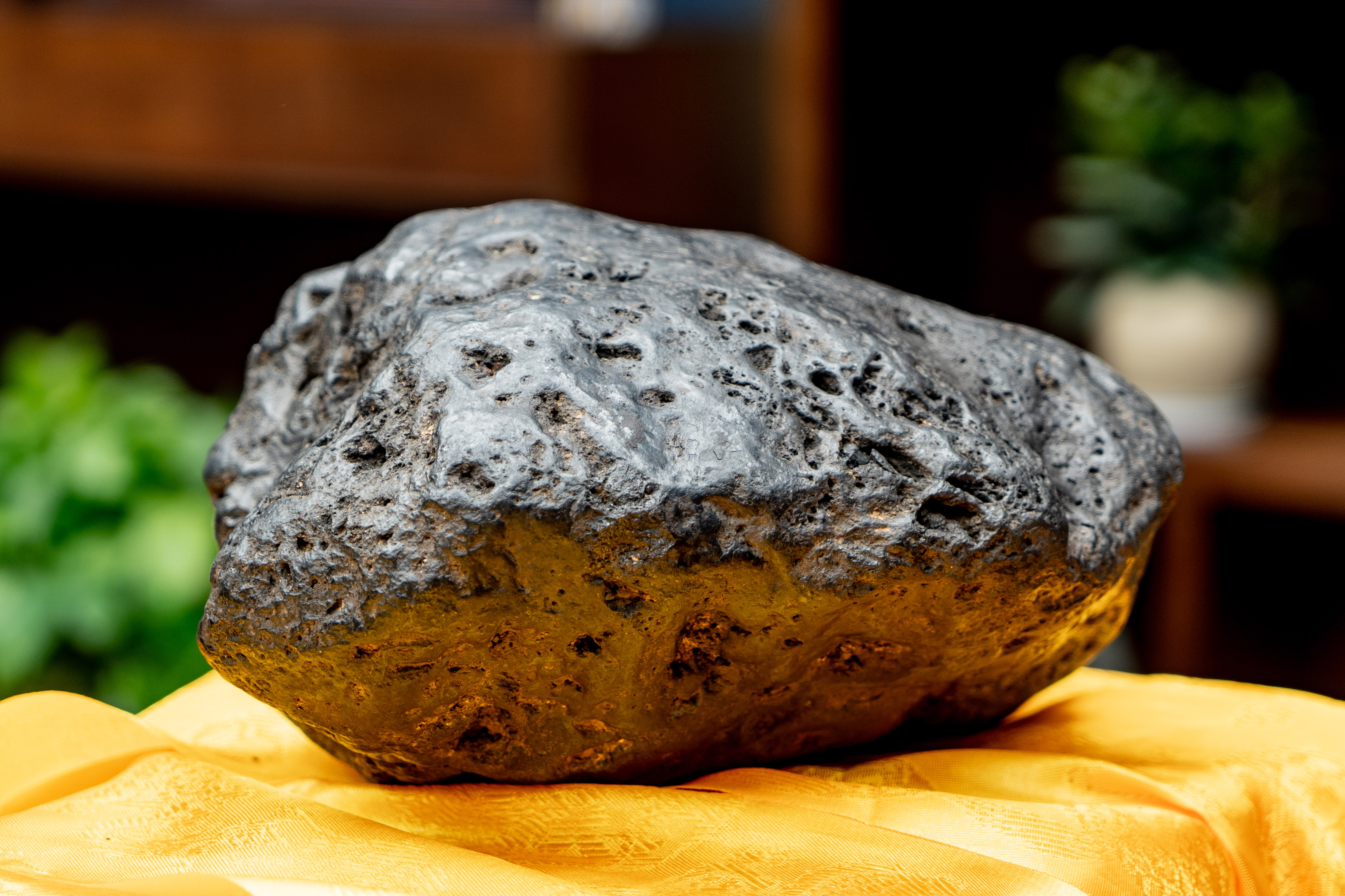 松茸C位的网红下午茶，打卡因美丽传说而诞生的第5颗陨石酒店