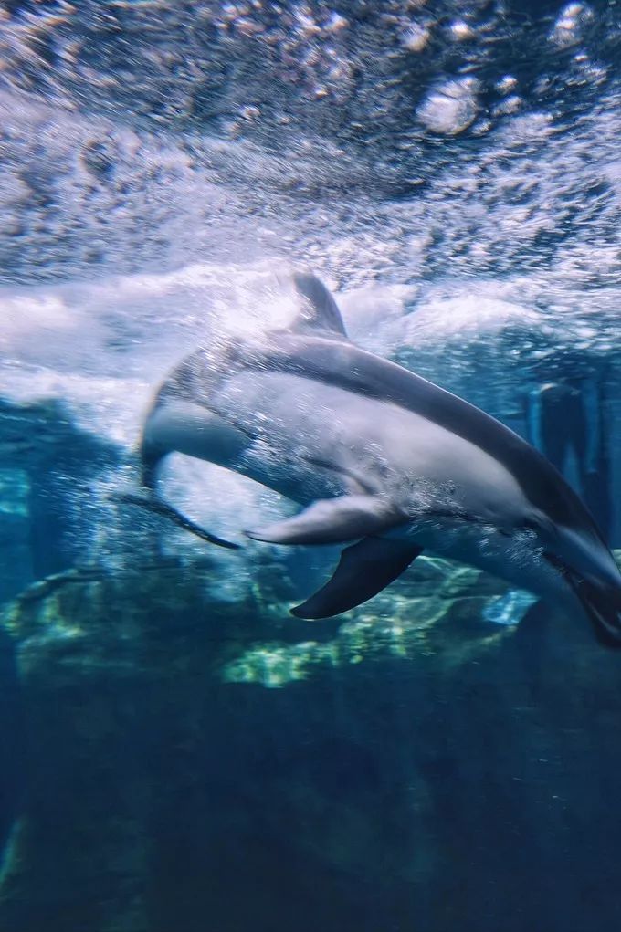 不一样的大阪三日游，瑠璃一束光，值得一来再来