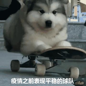 记吃不记打文雅的说法,记吃不记打的人怎么办