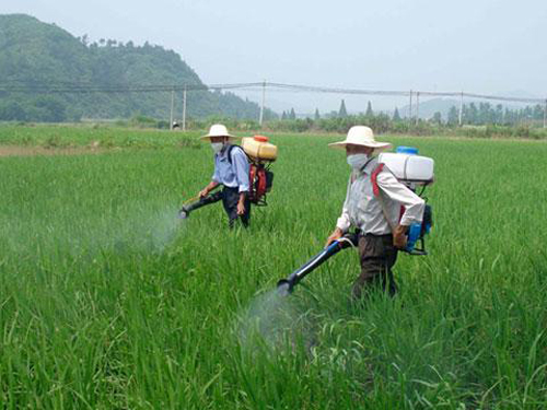 农村农民没有资金有什么好项目 (农村地摊市场空白新型项目)
