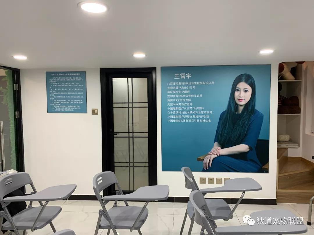 正规宠物培训学校价格多少,宠物培训学校北京哪家好