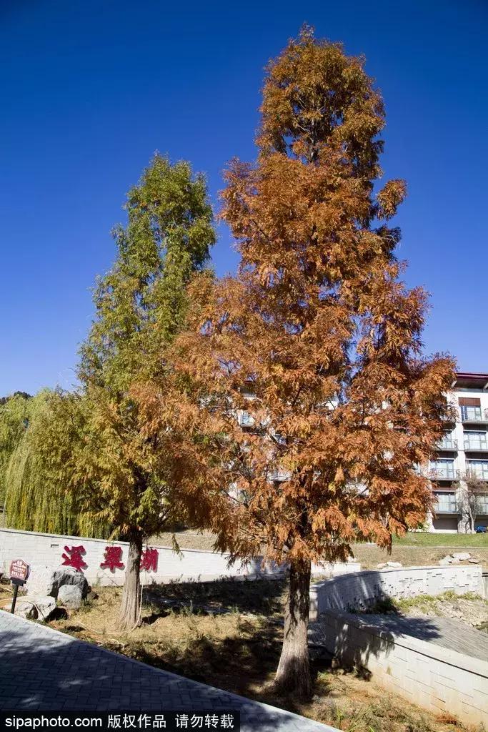 元旦适合去哪旅游北京,元旦北京攻略经典三日游