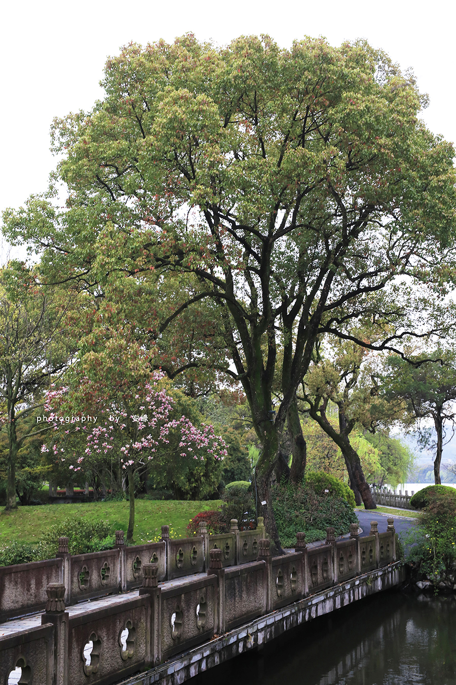 深扒：西湖中的西湖；多国元首下榻的540亩国宾馆的神秘面纱