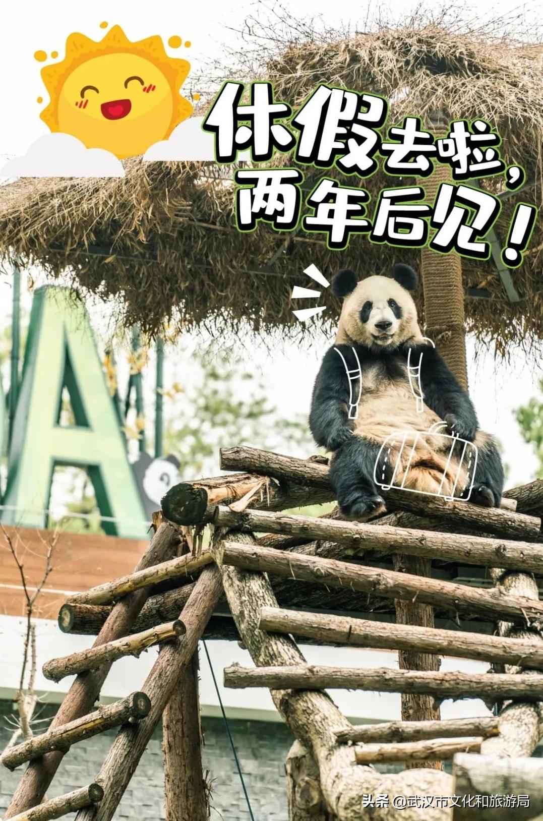 武汉动物园哪一个更好玩,九峰森林动物园与武汉动物园