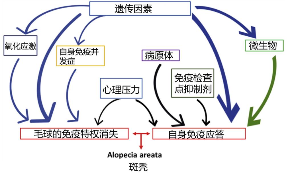 金斯瑞解析,金斯瑞基因治疗发展