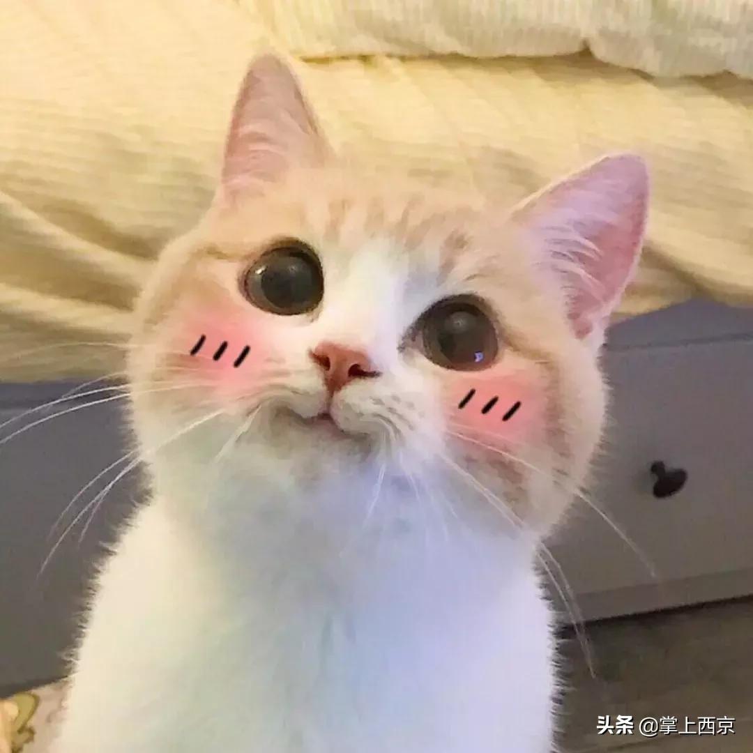 春运西安出行攻略 (西安春运出行提示)