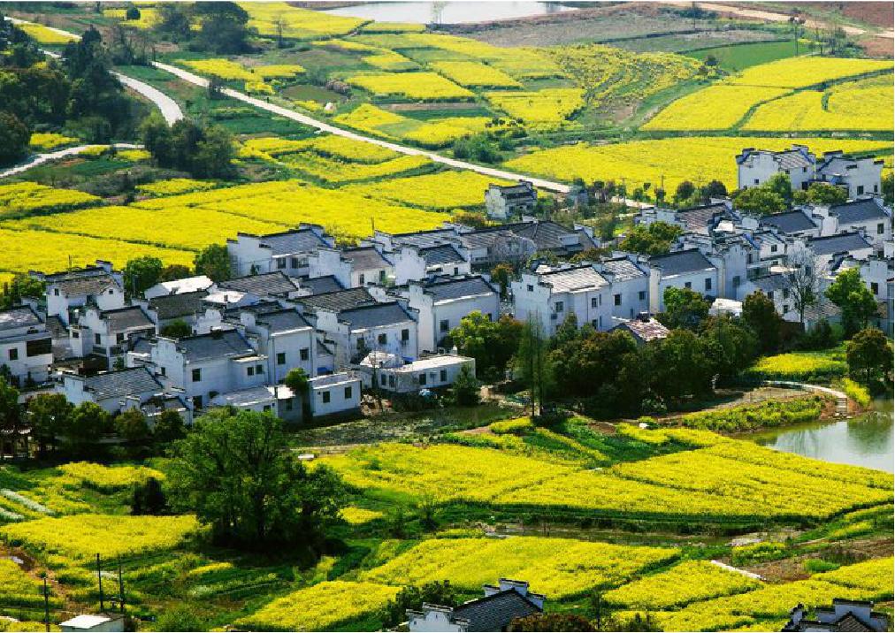 南京适合30个人团建的地方,南京公司团建室内推荐