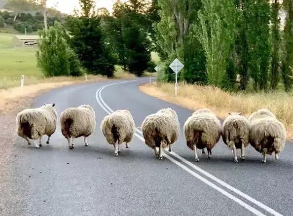 网红鞋利润有多高,网红鞋耐克篮球鞋