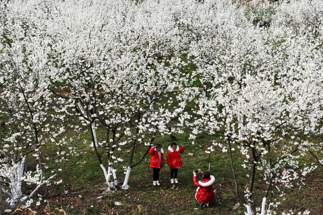 脱贫攻坚伟大成就,彪炳峨边脱贫攻坚史册
